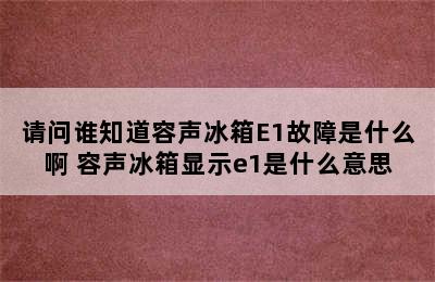 请问谁知道容声冰箱E1故障是什么啊 容声冰箱显示e1是什么意思